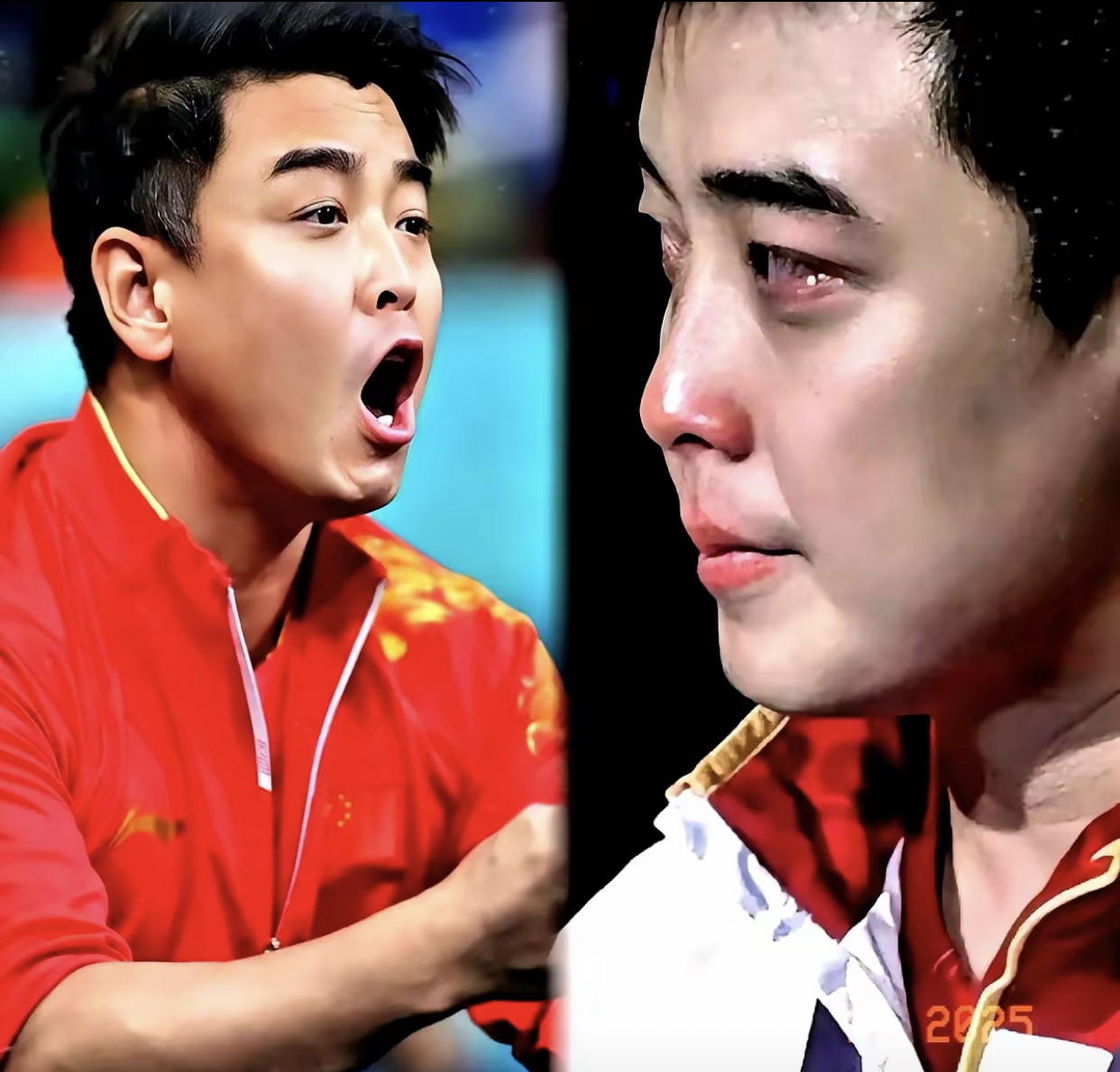 德国乒乓球队横扫比利时乒乓球队，王皓送出助攻的简单介绍